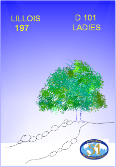 Logo Lillois 197